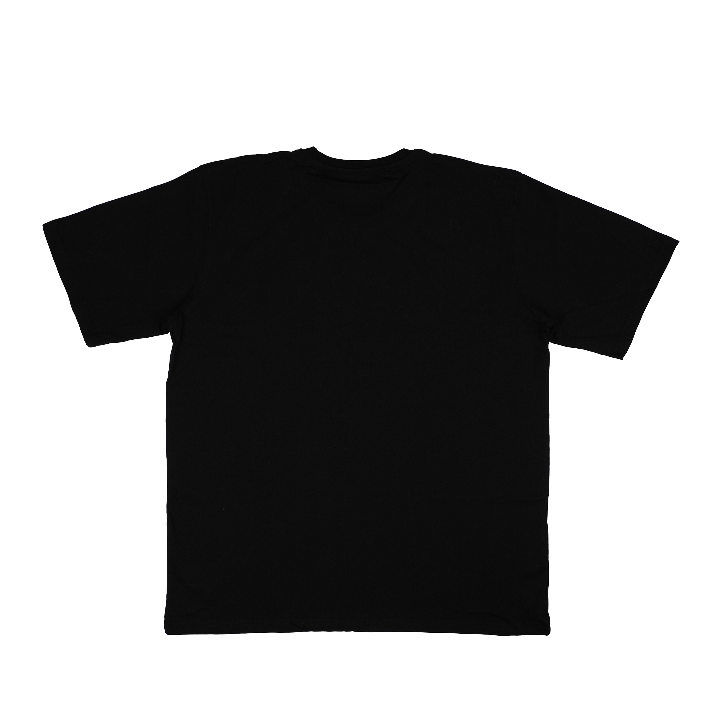 BWISSA 001